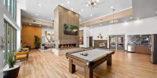 The Elinor Gallery 16