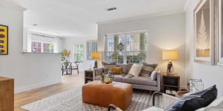 Sofi at Salem Station Gallery 4