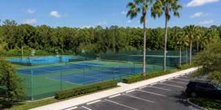 15246 HARRINGTON COVE Drive Gallery 47