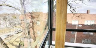 Blackstone Corner Gallery 51