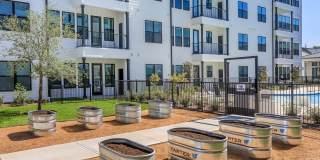 Ivy Point Cinco Ranch - Senior Housing Gallery 10