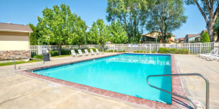 Olympus at The District Gallery 40