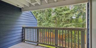 Avana Chestnut Hill Gallery 11