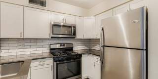 Rise Biltmore Gallery 24