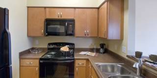 The Ambassador at Library Square Gallery 11