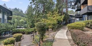 Timberlee Gallery 13