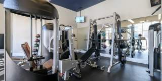 Soho Parkway Gallery 19