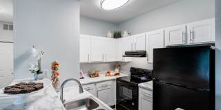 The 85Twenty Gallery 4