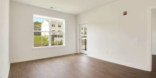 Molly Brook on Belmont Gallery 24