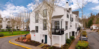 Avignon Townhomes Gallery 2