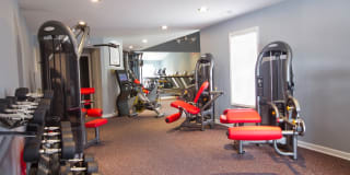 TGM Worthington Green Gallery 23