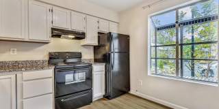 13 JANWALL Court Gallery 13