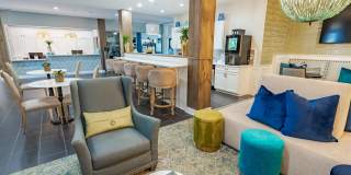 The Greyson Gallery 18