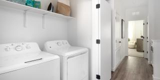 Cyrene at Meadowlands Gallery 22