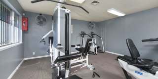 Skyline View Gallery 5