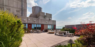 The Brooklyner Gallery 24