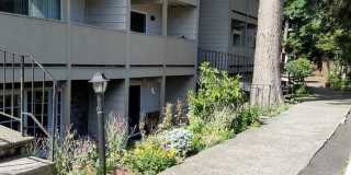 Rochelle Apartments Gallery 16