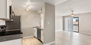 Rise Skyview Gallery 12