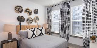 Vine North Hills Gallery 24