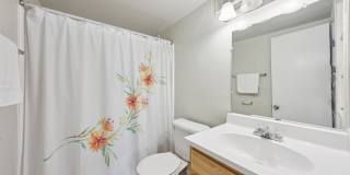 Belcrest Plaza Gallery 61