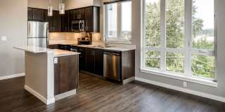 Lascala Apartment Homes Gallery 11