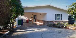 Kensington Beauty! Gallery 1