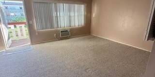 59 Brighton B Gallery 3