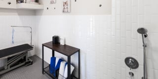 Bexley Champions Circle Gallery 35