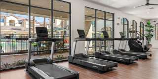 Solara Vista Gallery 43