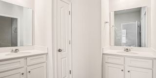 Poplin Trace Gallery 22