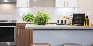 The Standard The Standard Gallery 27