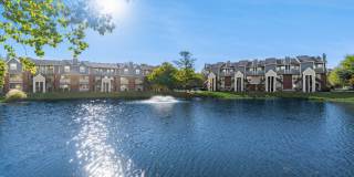 TGM Meadow View Gallery 49