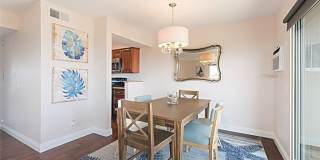 712 Calle Divino Gallery 15