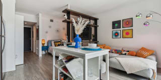 Alea Miami Gallery 21