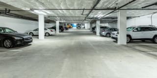 Alexan 100 Gallery 4