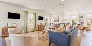 Bridgestone Gallery 12