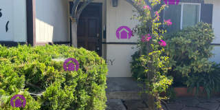 2331 Saint George Drive Gallery 5