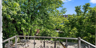 1427 BOLTON Street Gallery 16