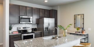 Allora New Forest Gallery 1