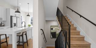 NOVEL Morrisville Gallery 45