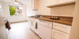 La Palms Apartments Gallery 1