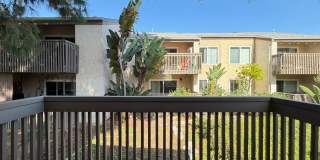 Large Studio in La Jolla / UTC area Gallery 17