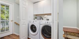 Coddington Point Gallery 15