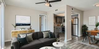 Rise Spring Pointe Gallery 10