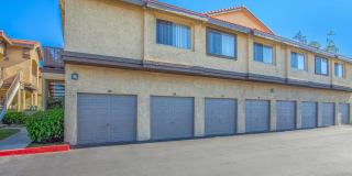 Club Pacifica Gallery 6