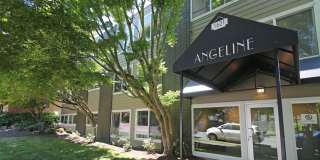 Angeline Gallery 28