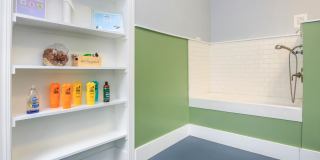 Arbor Trace Gallery 18