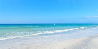 1460 GULF BOULEVARD Gallery 31