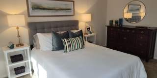 Woods of Castleton Gallery 4