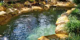 226 NE 1st Avenue unit: Key Lime Suite Gallery 29